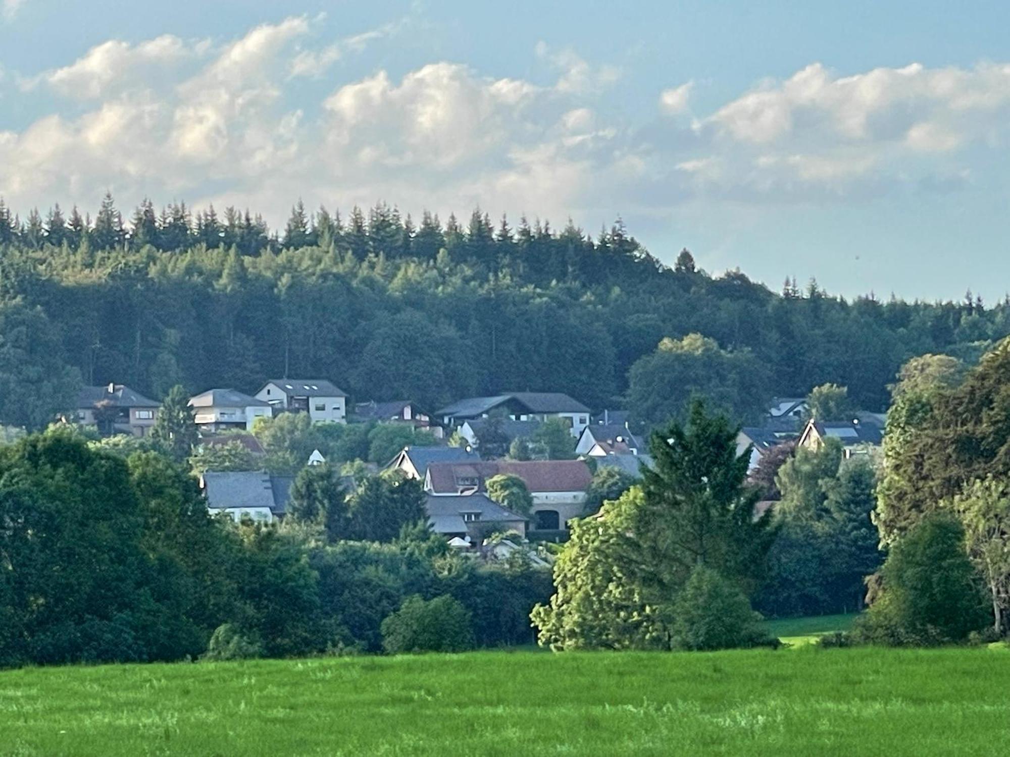 Ferienhaus Eifelblick Feusdorf Экстерьер фото